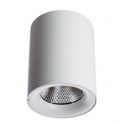 Точечный накладной светильник Arte Lamp FACILE A5118PL-1WH