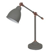 Настольная лампа Arte Lamp BRACCIO A2054LT-1GY
