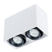 Точечный накладной светильник Arte Lamp PICTOR A5655PL-2WH