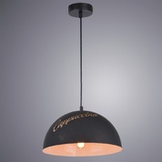 Светильник Arte Lamp DOME A5063SP-1BN