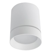 Точечный накладной светильник Arte Lamp ELLE A1949PL-1WH
