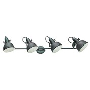 Спот Arte Lamp MARTIN A5215PL-4BG