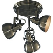 Спот Arte Lamp MARTIN A5213PL-3AB